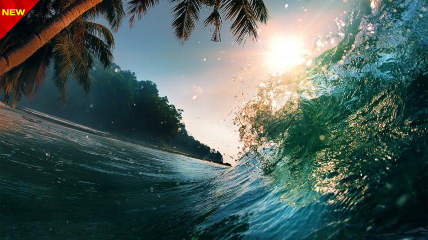 ocean-1280x720-waves-palm-5k-19756-min طبیعت