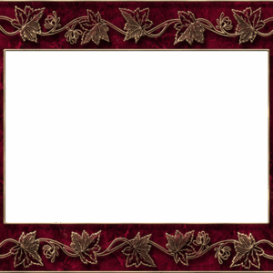 قاب فانتزی قرمز