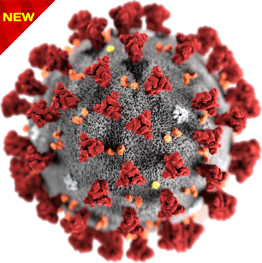 COVID-19-Coronavirus-Download-Transparent-PNG-Image ویروس کرونا قرمز