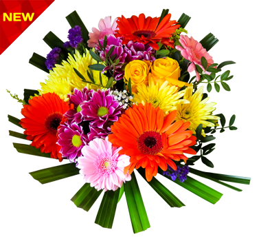 Flowers-PNG-Image-with-Transparent-Background دسته گل زیبا