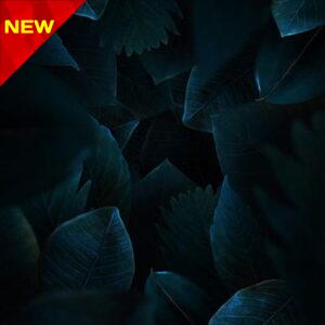 والپیپر دارک موبایل