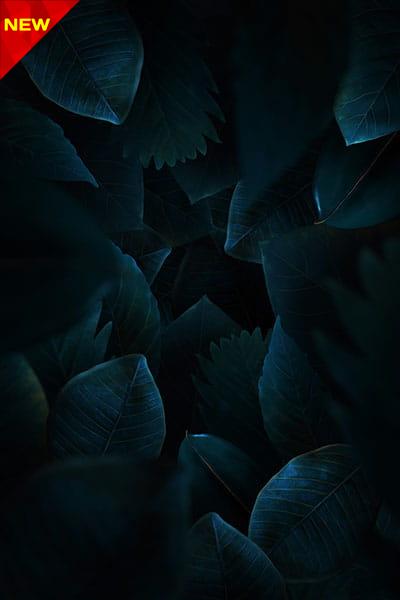 dark-wallpaper-mobile-08-2 والپیپر دارک موبایل